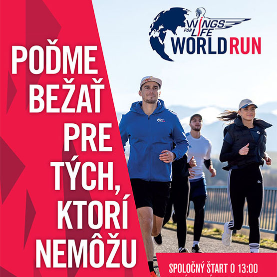 velke-rovne-wings-for-life-world-run-2024-bigbn