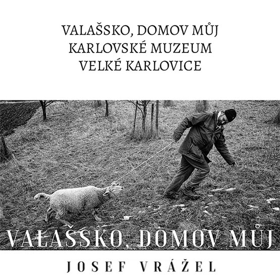 velke-karlovice-valassko-domov-muj-2024-bigbn
