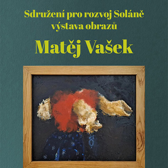 solan-matej-vasek-2025-bigbn